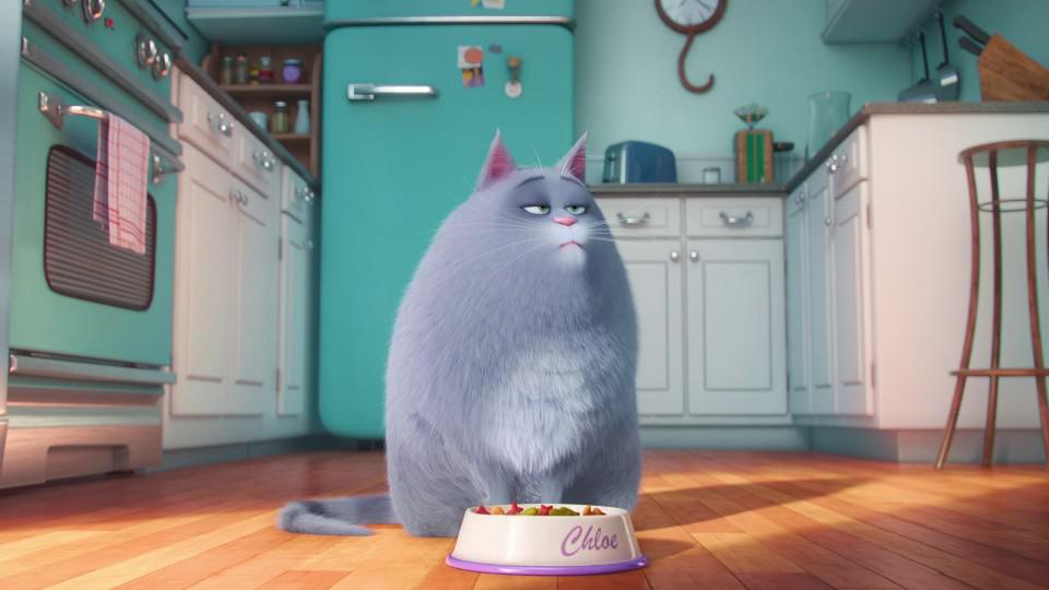 Watch The Secret Life of Pets (2016) Full Movie Online Free