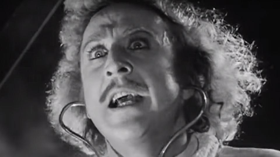 Watch Young Frankenstein (1974) Full Movie Online Free